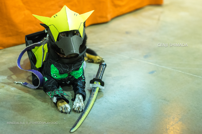 Cosplay by thecosplaydog